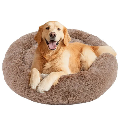 Sweetcrispy Modern Orthopedic Memory Foam Pet Bed for Large Dogs - Auction Use, 20.0"L X 24.0"W X 8.0"Th, 3-Sided Bolsters, Supportive Sofa Design, Detachable Fleece Cover, Waterproof, Non-Slip Base, Washable