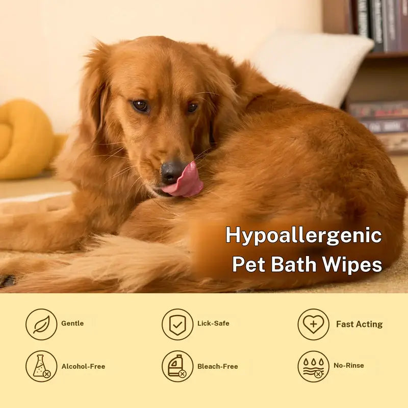 HICC PET 20 Wipes per Pack Disposable Dog Grooming Glove Wipes - No-Rinse, Hypoallergenic, with Fermented Oils & Lanolin for Hair Removal, Natural Deodorant, Skin Hydration, Eyes/Mouth Clean, Bath-Free Grooming