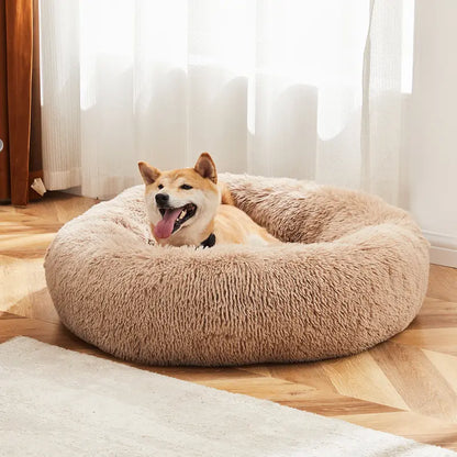 Sweetcrispy Modern Orthopedic Memory Foam Pet Bed for Large Dogs - Auction Use, 20.0"L X 24.0"W X 8.0"Th, 3-Sided Bolsters, Supportive Sofa Design, Detachable Fleece Cover, Waterproof, Non-Slip Base, Washable